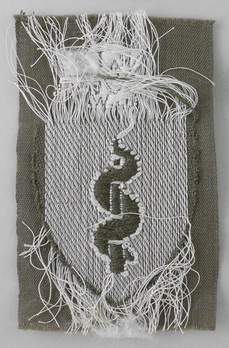 RAD Medical Trade Insignia (1st pattern) Reverse