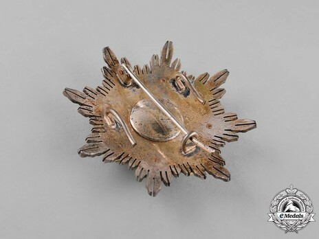 2nd Class Breast Star (red distincion) (with coat of arms of Castile and Leon, and Imperial Crown) (Silver and Silver gilt) Reverse