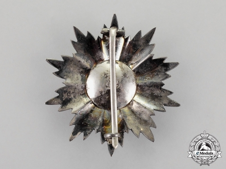 I Class Grand Cordon Breast Star Reverse