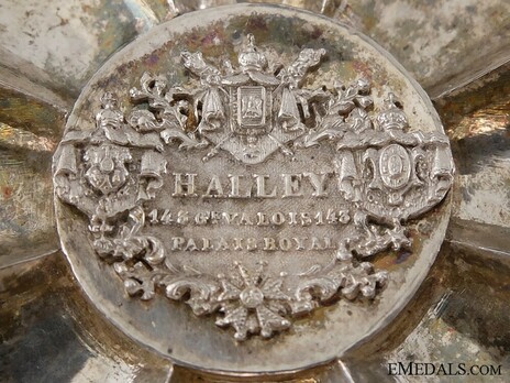 Royal Order of Merit of St. Michael, I Class Cross Breast Star (by Halley) Reverse Detail