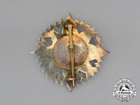Knight Grand Commander and Knight Grand Commander Breast Star (II Class) Reverse
