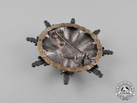  Type II, Military Division, Commander Breast Star Reverse