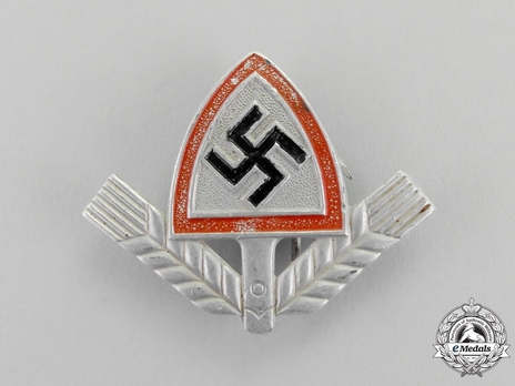RAD NCO/EM's Metal Cap Insignia Obverse