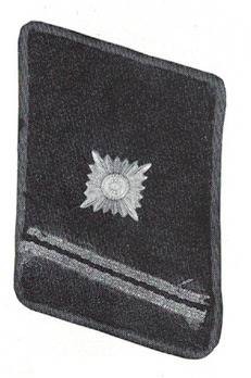 NSFK Oberscharführer Collar Tabs Obverse