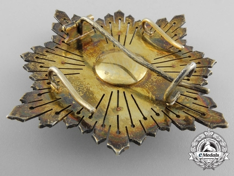 Grand Cross Breast Star (white distinction) Reverse
