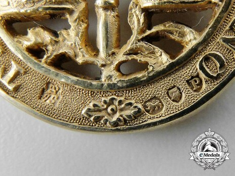 Companion (with silver gilt) Reverse Detail