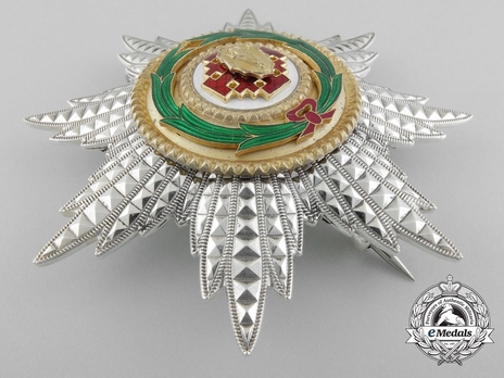 Equestrian Order of Merit of the Holy Sepulcher of Jerusalem (Type II) Collar Breast Star Obverse