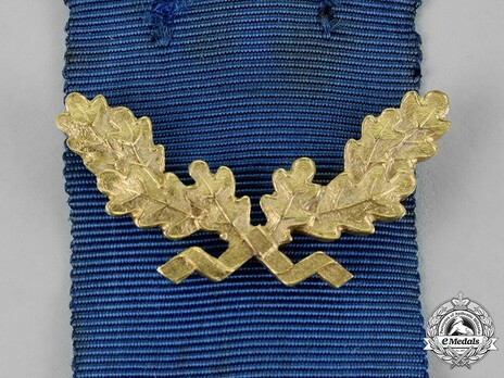 I Class for 40 Years Obverse Detail