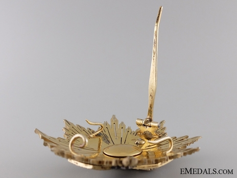 Grand Cross Breast Star (white distinction) Reverse