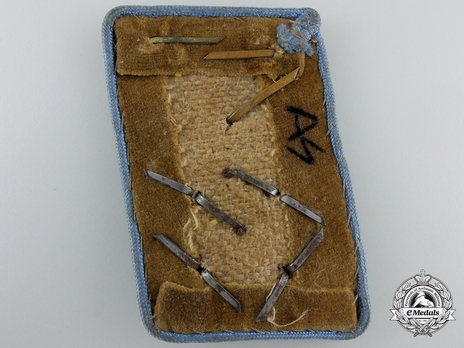 NSDAP Gemeinschaftsleiter Type IV Ort Level Collar Tabs Reverse