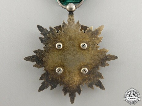 Order of the Golden Kite, V Class Badge Reverse