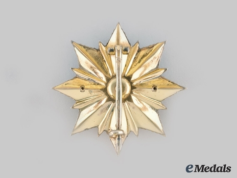 Order of the Flag of the Hungarian People's Republic, III Class (1956-1976) Reverse