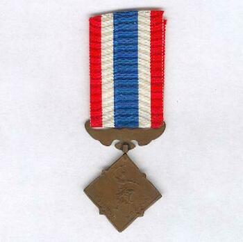 Safeguarding the Constitution Bronze Medal Reverse