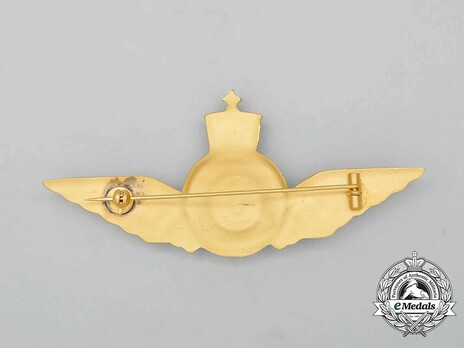 Air Force Flight Engineers Wing Reverse