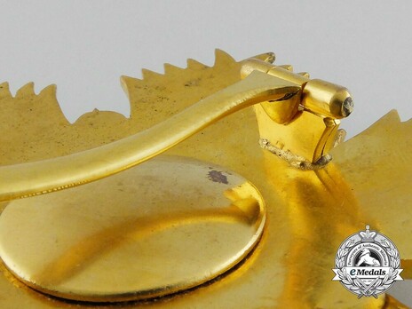 Order of the Throne, Grand Cordon Breast Star Reverse Detail