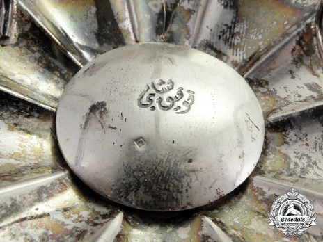  Grand Cordon Breast Star (with lily suspension, 1953-1972) Reverse Detail