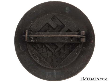 RADwJ 1939 Jungführerin Rank Brooch Reverse