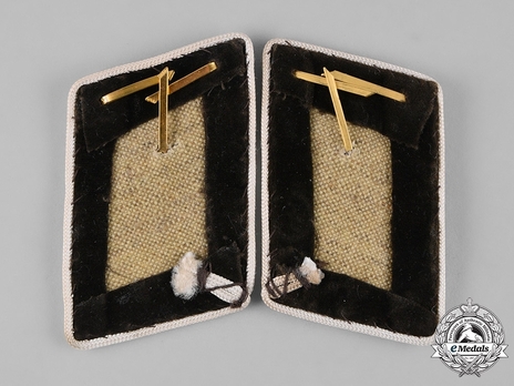 NSDAP Politischer Leiter-Anwärter (Parteimitglied) Type IV Kreis Level Collar Tabs Reverse