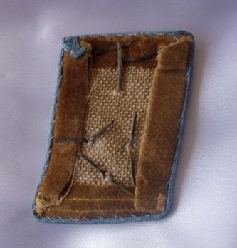 NSDAP Ober-Einsatzleiter Type IV Ort Level Collar Tabs Reverse