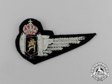 Air Force Navigator Wing Obverse