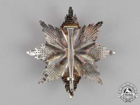 Order of Saint Sava, Type III, II Class Breast Star Reverse