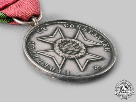 Saxe-Altenburg House Order Medals of Merit, Type IV, Civil Division, in Silver Reverse