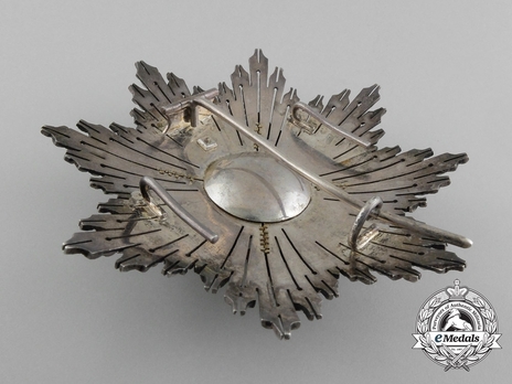 2nd Class Breast Star (white distincion pension) (with Fleur de Lys and Royal Crown) (PROFESORADO) Reverse