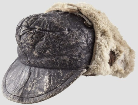 Luftwaffe NCO/EM Ranks Winter Visored Field Cap (dark leather version) Profile