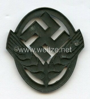 RADwJ Cap Insignia (iron version) Reverse