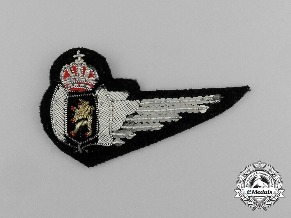 Air+force+navigator+wing+1