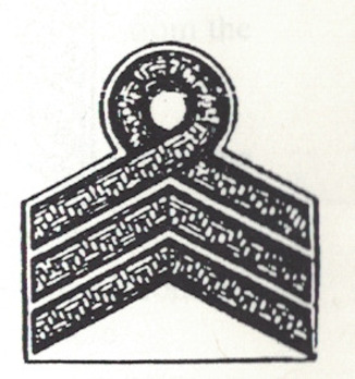 RAD Oberfeldmeister Sleeve Rank Insignia Obverse