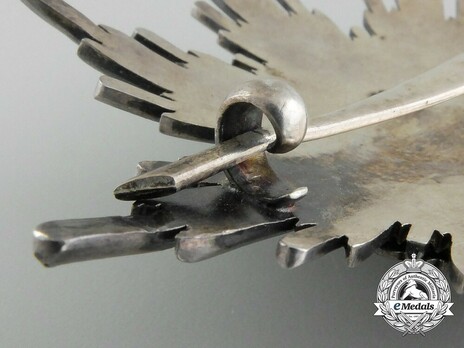 Order of the Double Dragon, Type II, II Class, III Grade Star Reverse Detail